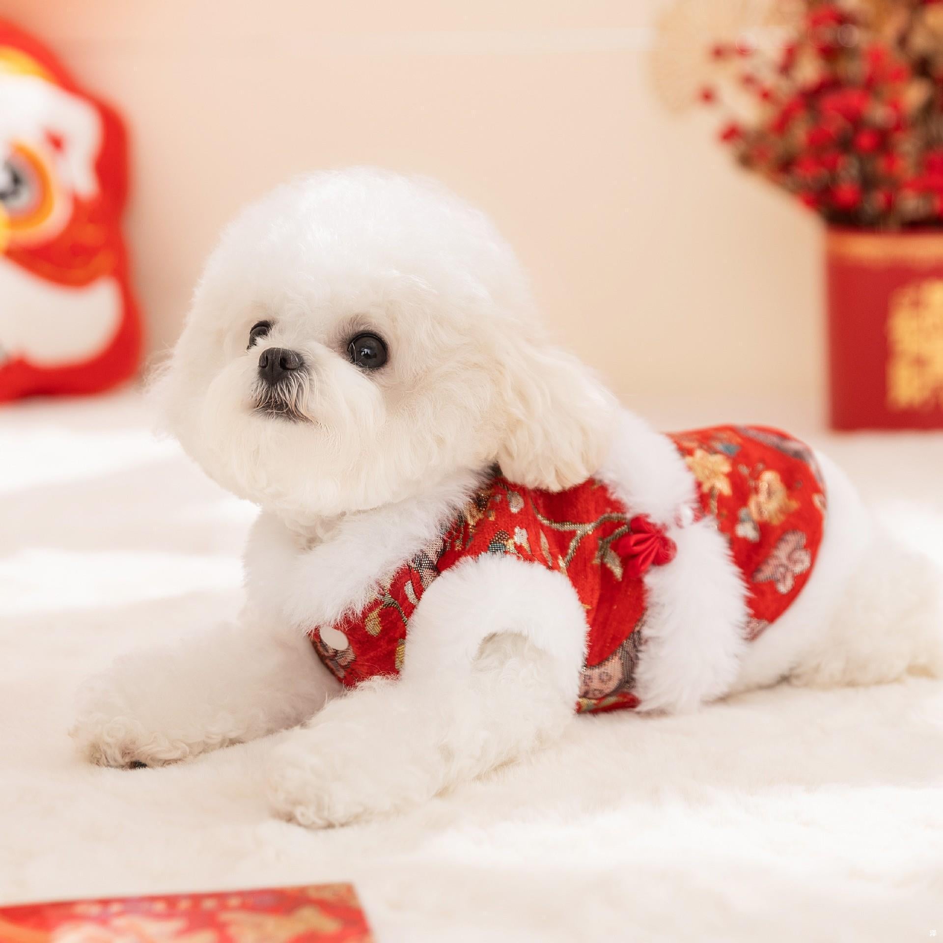 The Phoenix & Peony Embroidered Winter Coat